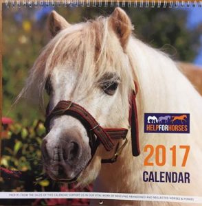 15085458_1234205276640166_7184850416537668056_n