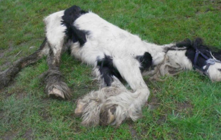 dRuBCkMW3iiPgtzq2Adl6XTp6ZkxtMo2GLbIKz4GEcK1c4KW0vpRohaANCHYVSSaIbWwFk-fh1L0-INcjE0QTE5YjanhIQeiVCaVfberEuj56Oi5HDt_aB4xbCKaN_TKJbYFt-Mj